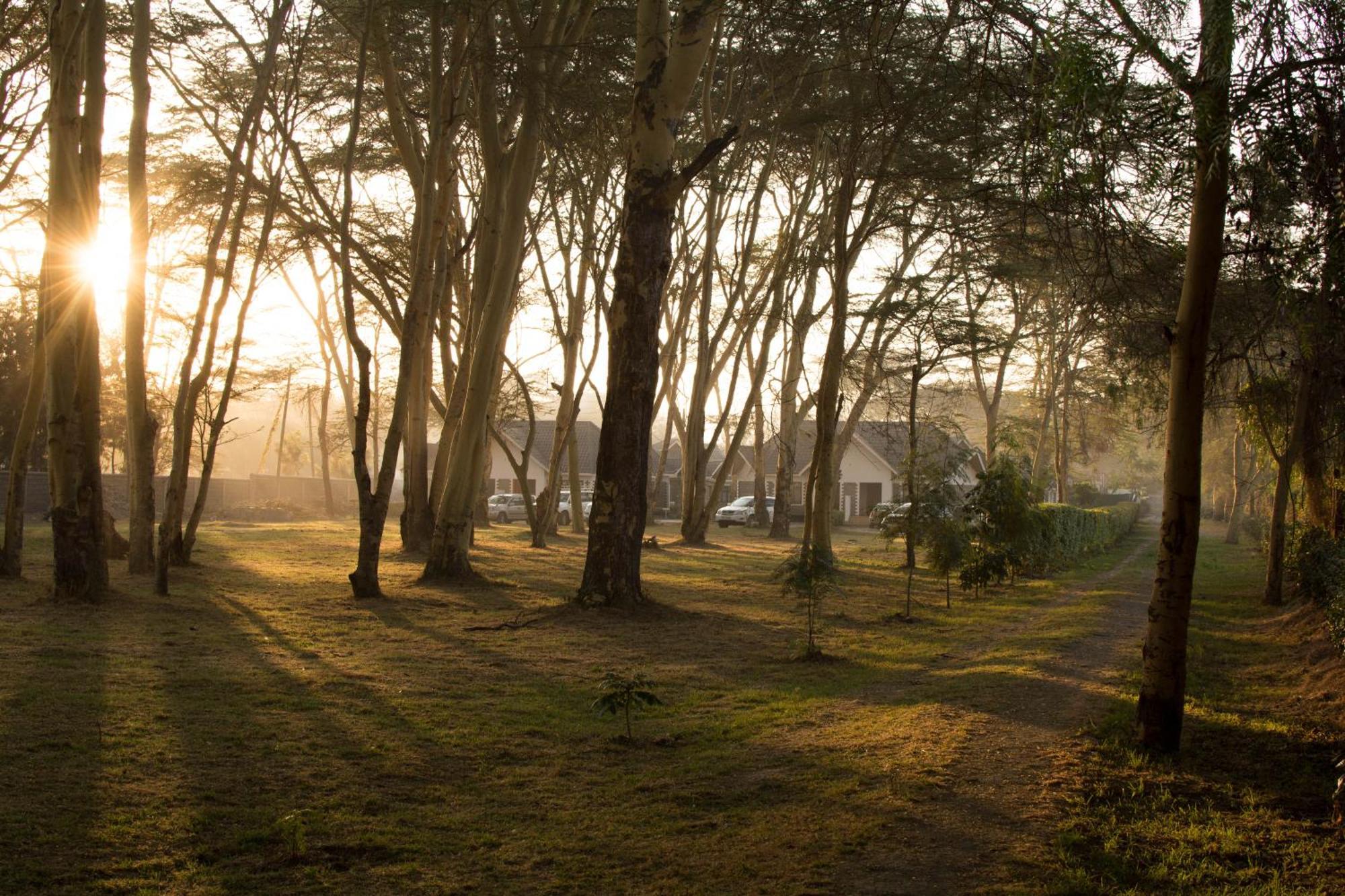 Burch'S Resort Naivasha Camping Екстер'єр фото